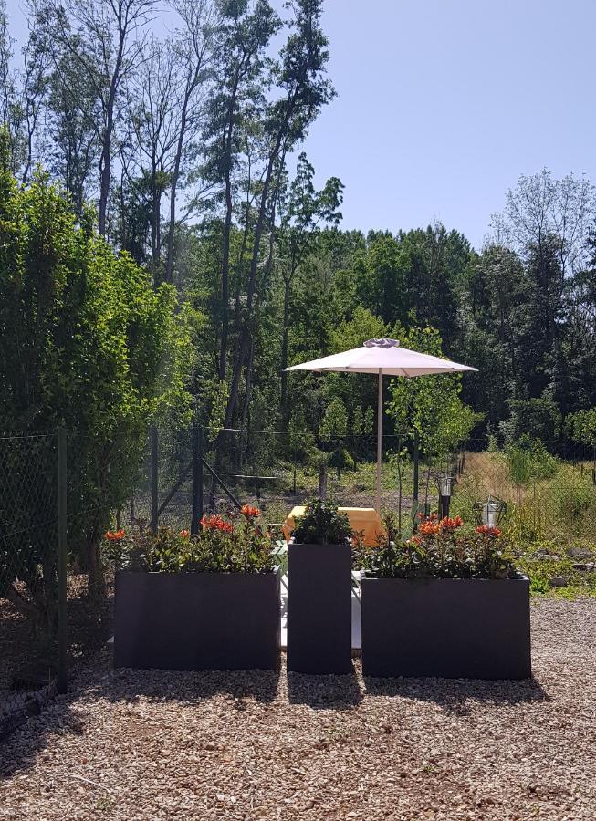 Agreable Petite Maison Proche Joigny Chamvres Экстерьер фото